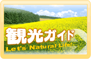 観光ガイド
